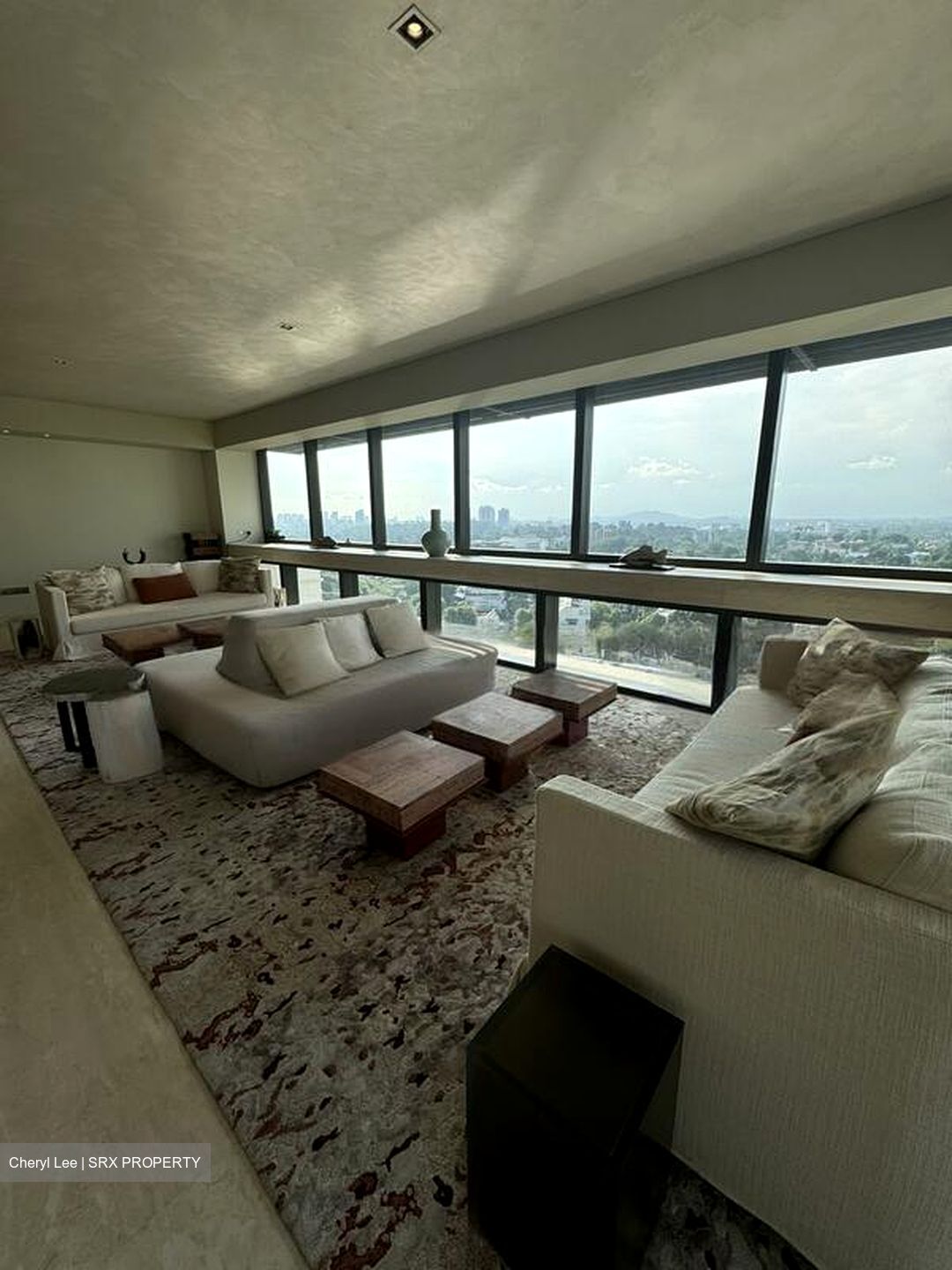 Hana (D10), Condominium #497742401